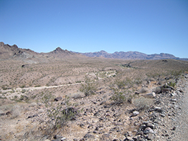Side Trip to Oatman